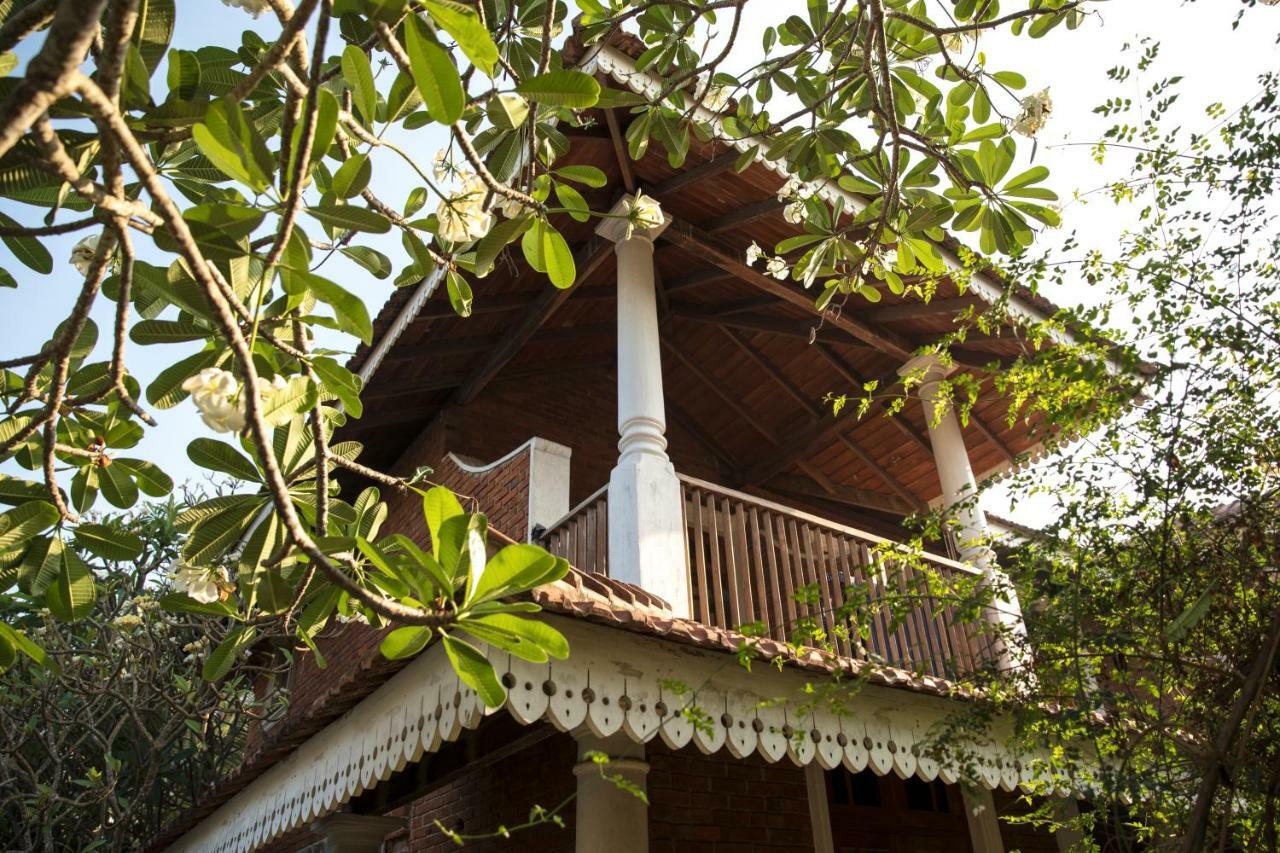 Araliya